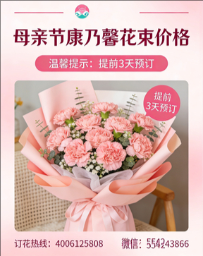 常德津市市花店母亲节康乃馨花束