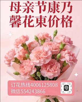 常德津市市花店母亲节康乃馨花束